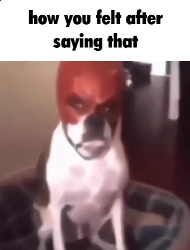 1769535526857