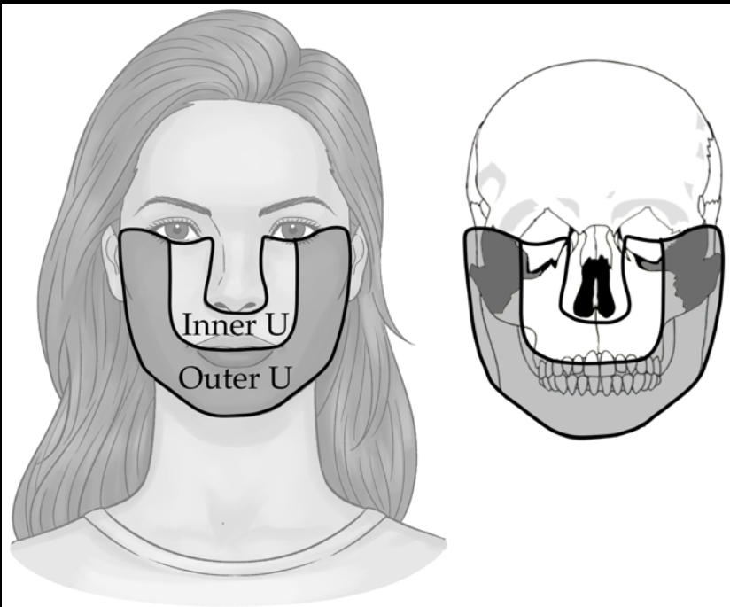 Screenshot 20260127 214836 com amazon kindle StandAloneBookReaderActivity