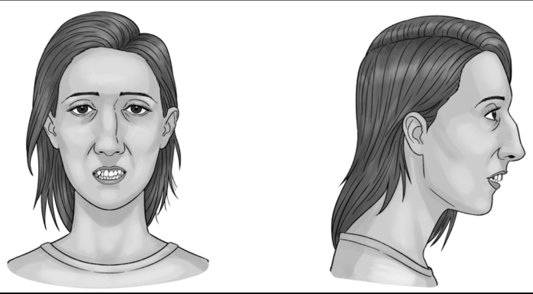 Screenshot 20260127 215017 com amazon kindle StandAloneBookReaderActivity