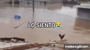 Wilson Lo siento!😭 the video on Make a GIF
