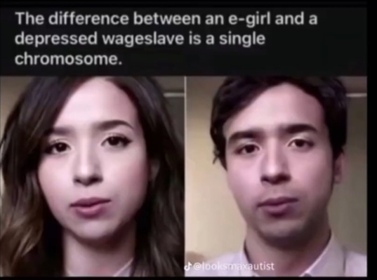 Cd4bb3dd5e9a4030938c8c654a89a703tplv photomode image