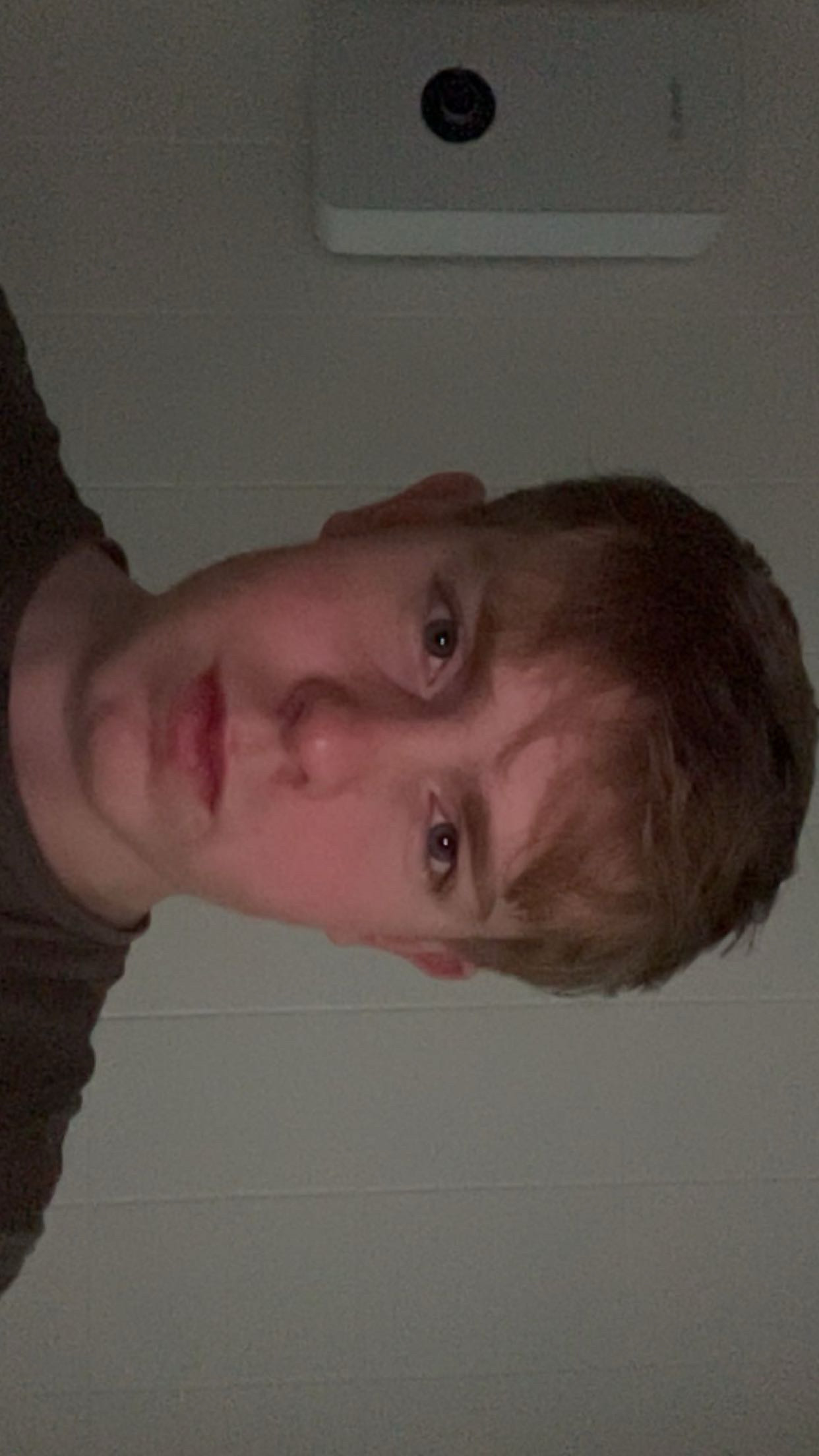 IMG 3652