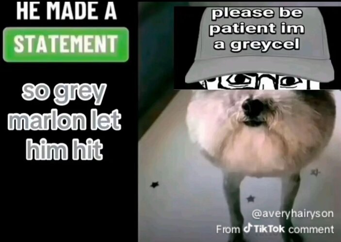 5794176 1769066963674