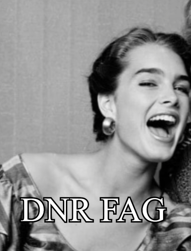 Dnr fag1