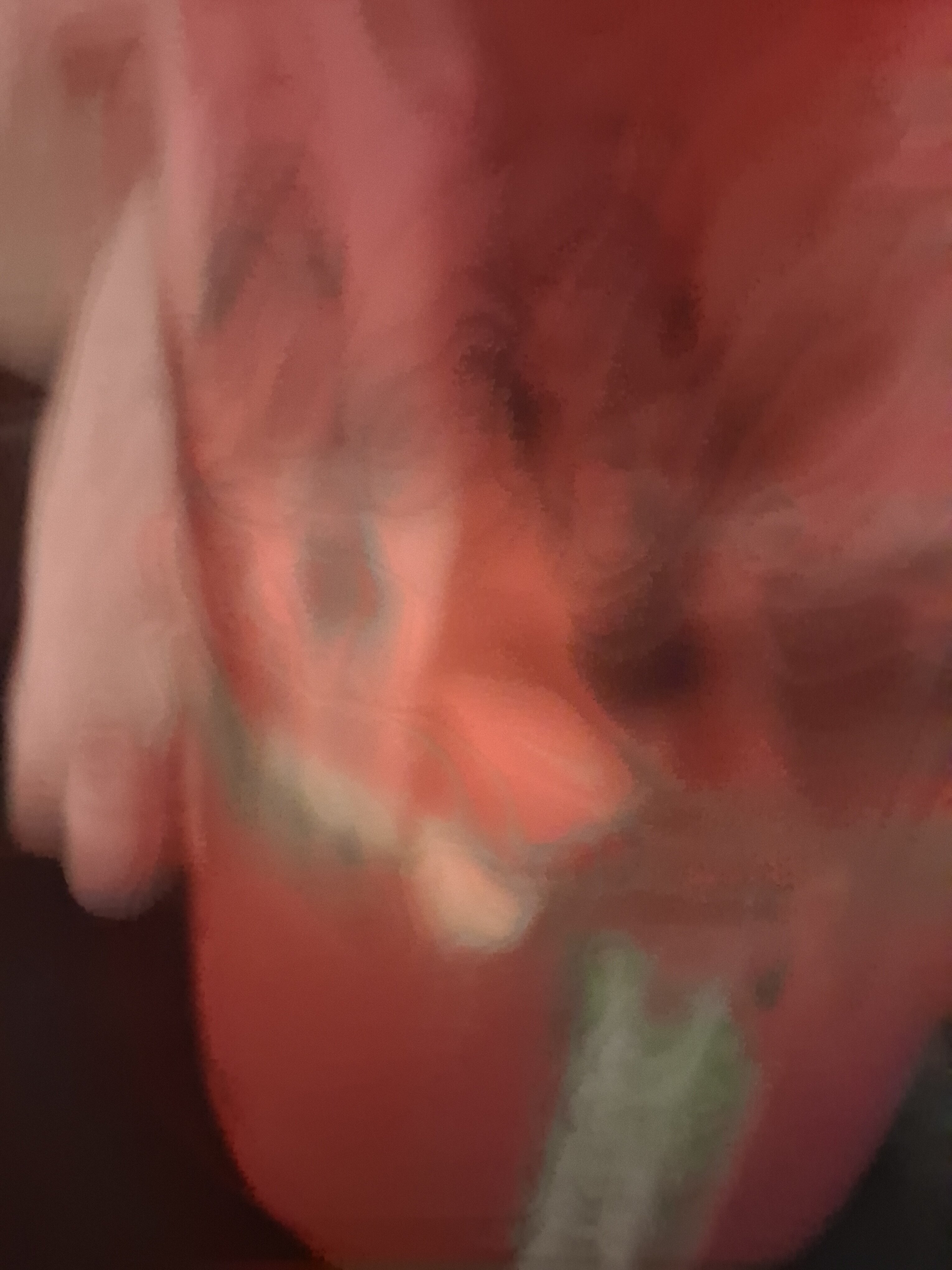 1769635870241419951463121425389