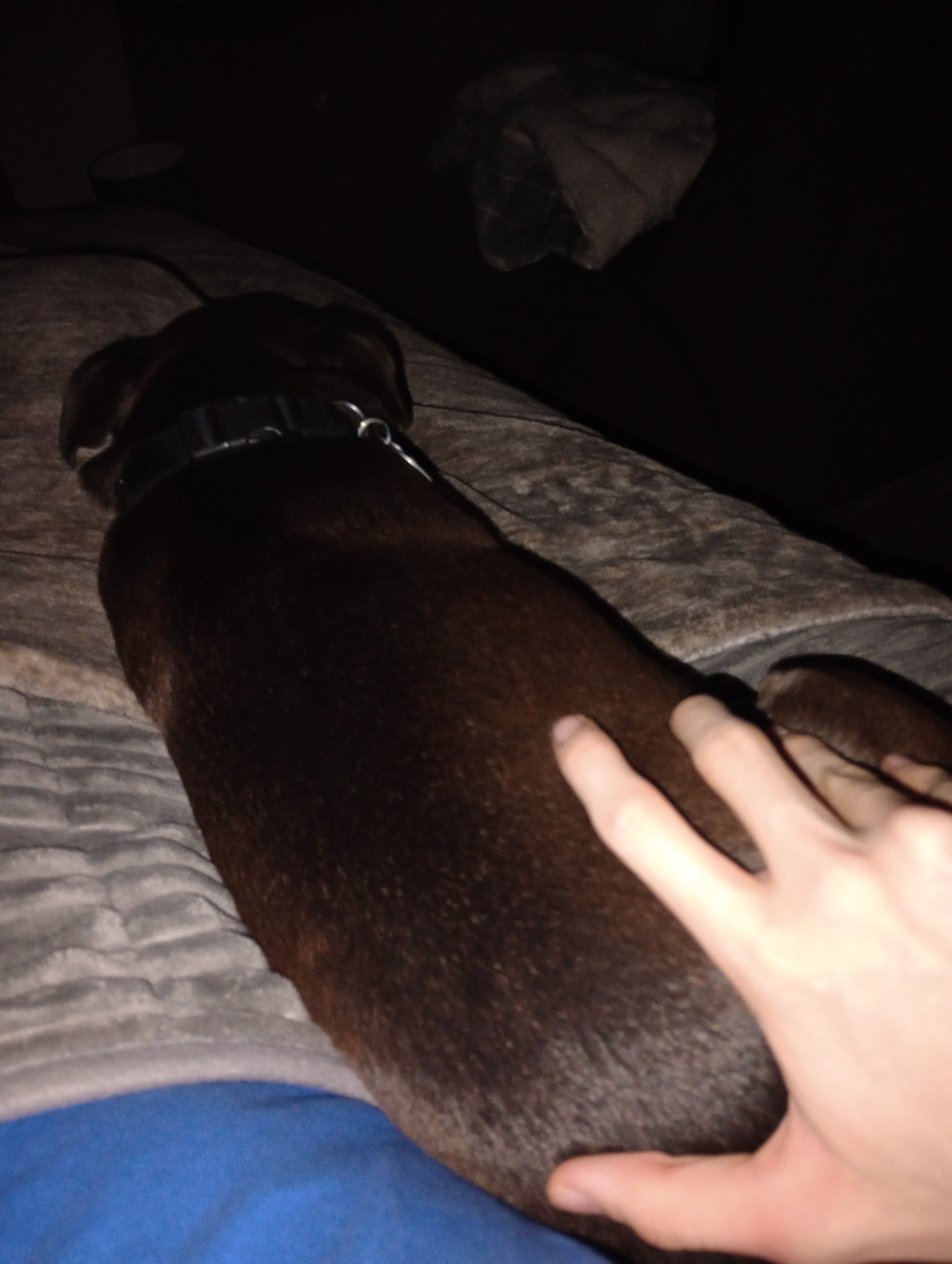 IMG 20260129 070720218