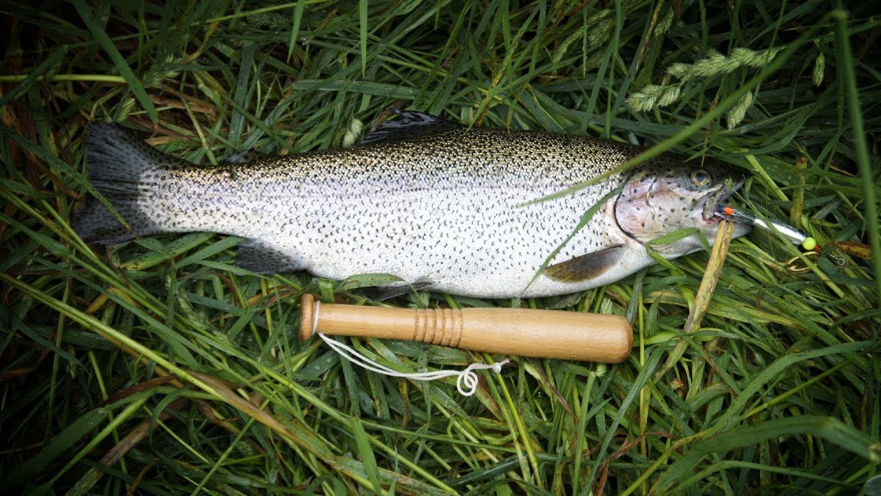 Maxresdefault 377586293