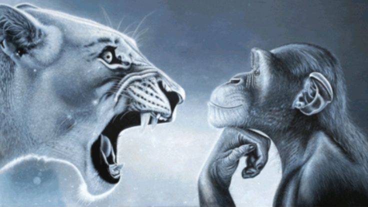 4f5784b2dd57d8d8fe7b37fc851ddcc9