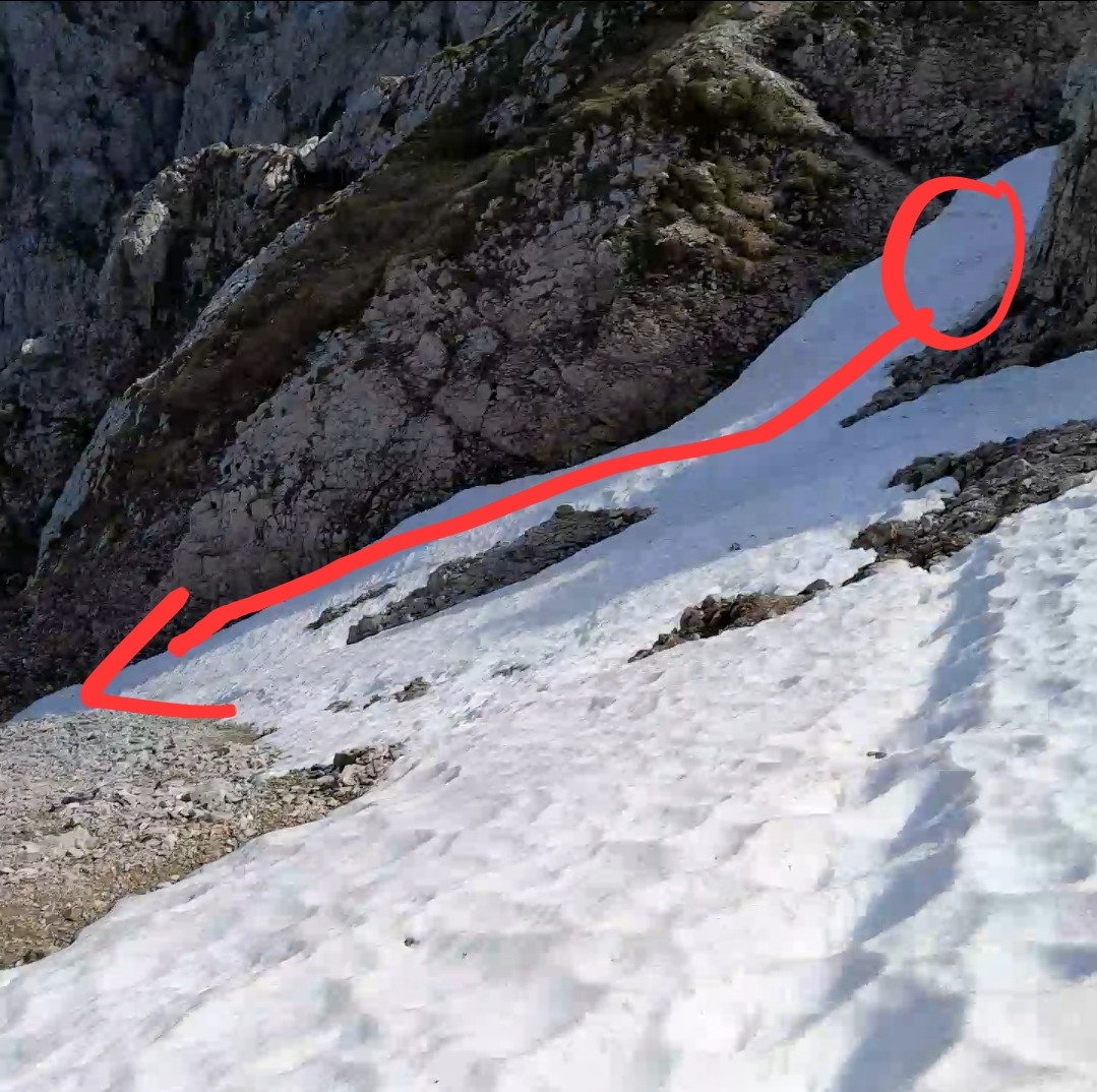 Screenshot 20260129 204325 Gallery