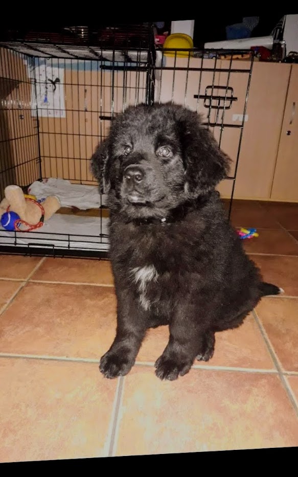 Screenshot 20210123 204700