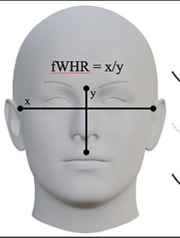 Screenshot 2026 01 30 235352