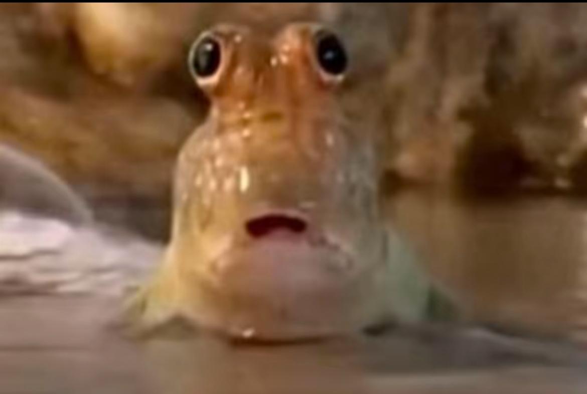 PHOTO 2025 10 17 13 44 53