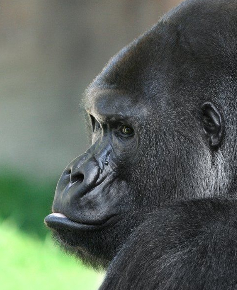 Screenshot 2026 01 30 17 54 33 675 comandroidchrome edit