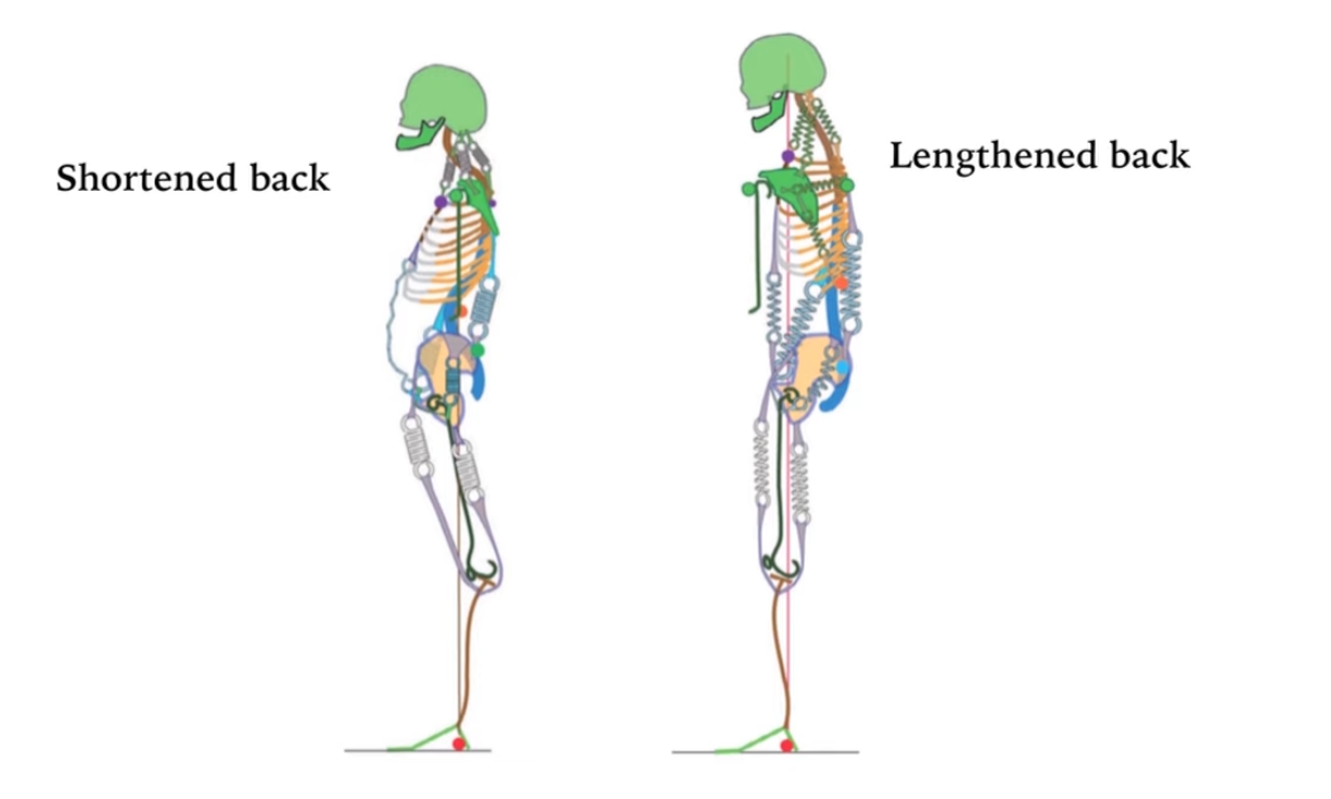 Ekran grnts 2026 01 31 031828
