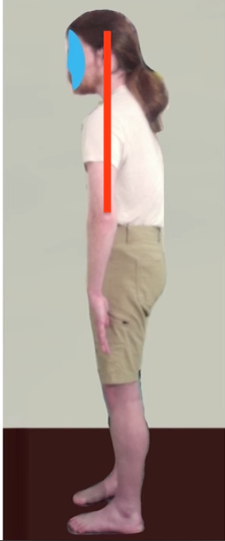 Ekran grnts 2026 01 31 031812