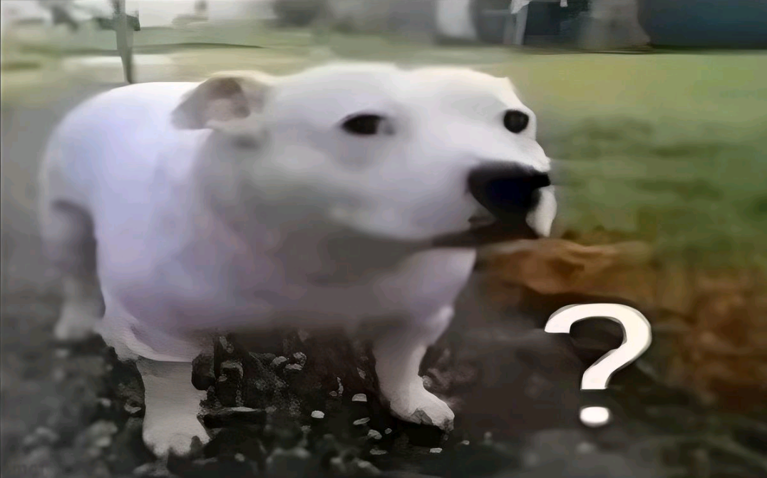 1000025626