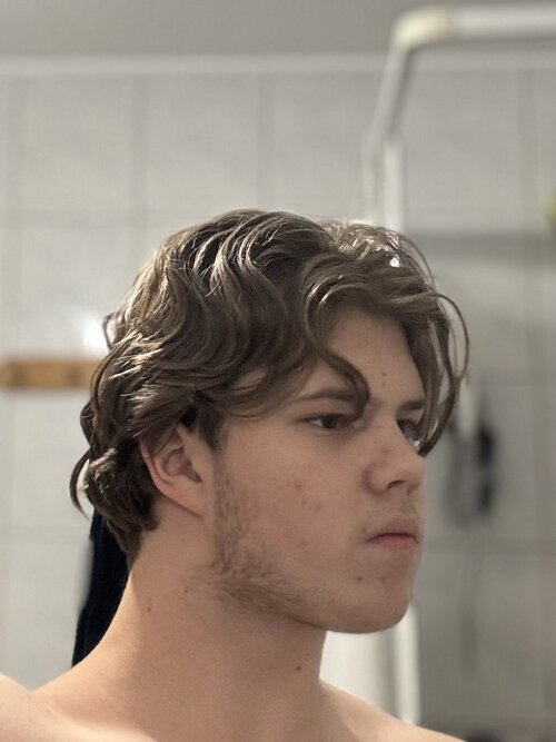 IMG 1292