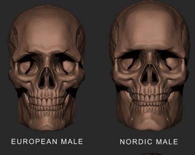 nordic mog.JPG