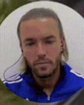 goatis-sv3rige.gif