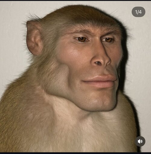 Cfa580c072654e5d7b4feef522ecd771