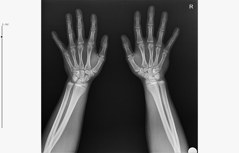 WhatsApp Image 2026-01-07 at 00.31.08 (4).jpeg