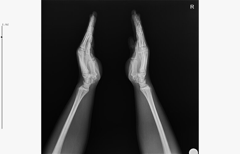 WhatsApp Image 2026-01-07 at 00.31.08 (3).jpeg