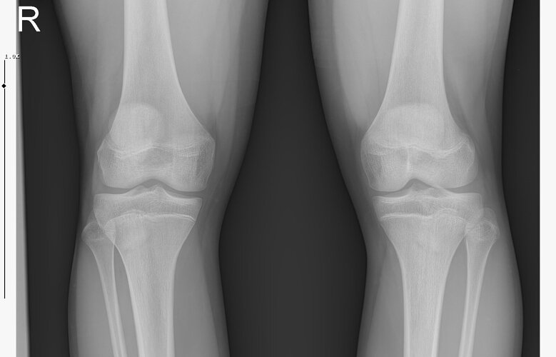 WhatsApp Image 2026-01-07 at 00.31.08.jpeg