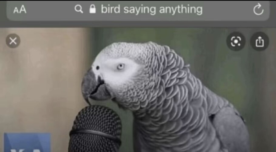 AISelect 20251215 071159 TikTok