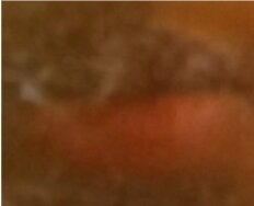 Screenshot 20260108 133729 Chrome