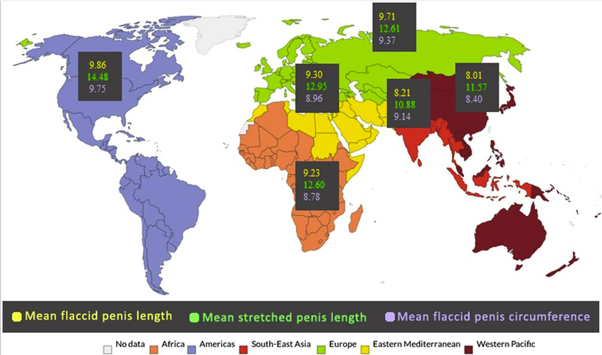 5655834 1765971542646