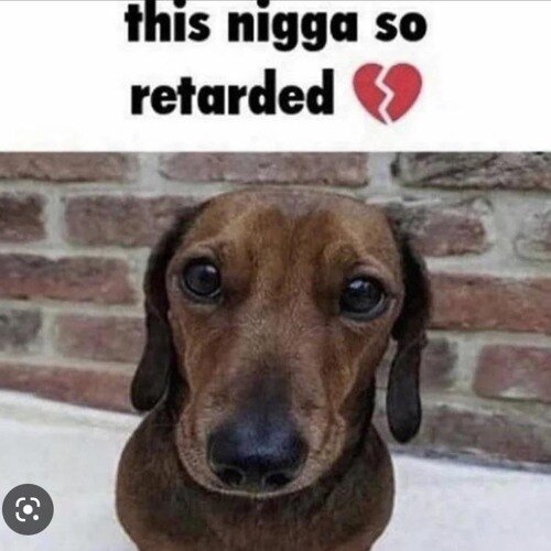 Artworks A3abeMREuXfvuQC8 SHnZVg t500x500