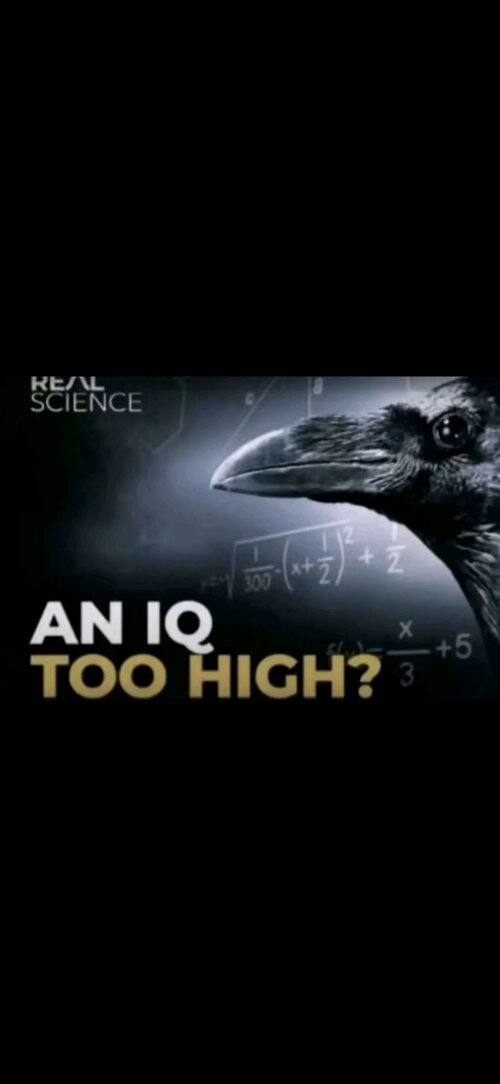 Screenshot 20260113 001226 Gallery