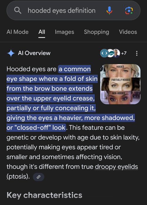 Screenshot 20260115 233141 Google