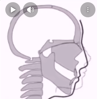 1768656215764.png