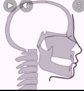 1768656220103.png