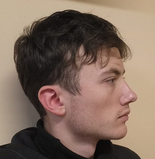 Cropped lulian before