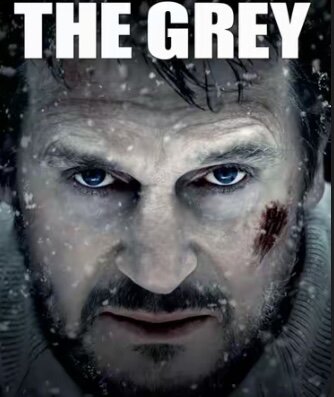 the grey.jpeg