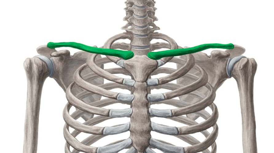 Bildschirmfoto 2026-01-21 um 04.43.29.png
