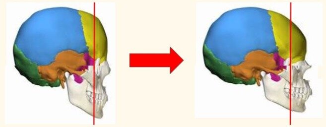 3371932 1682199682064