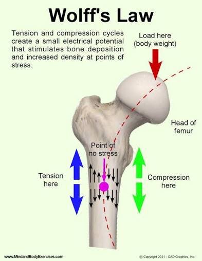 images (15) (22).jpeg