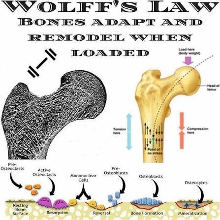 images (15) (23).jpeg