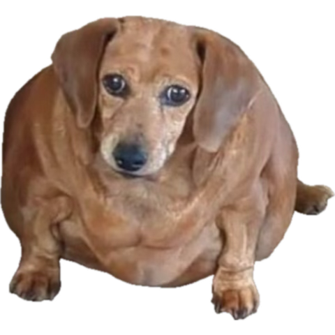 1769330525444.png