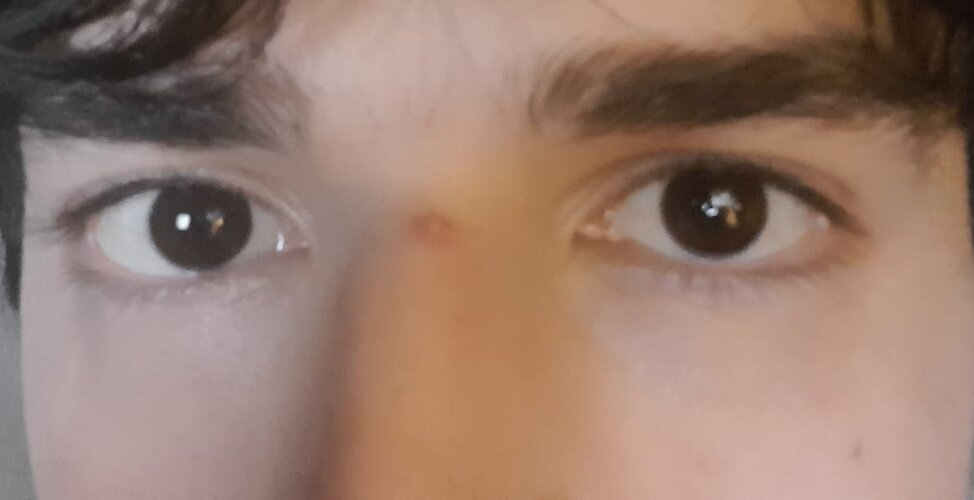 WhatsApp Image 2026-01-25 at 10.55.56.jpeg