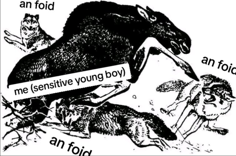 Screenshot 2026 01 25 16 33 40 476 comzhiliaoappmusically edit