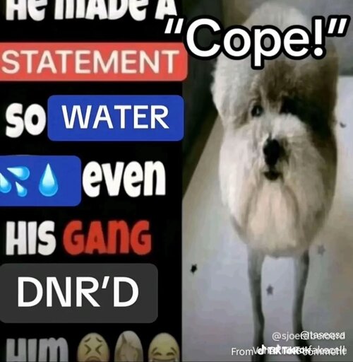 1769281820288.jpg