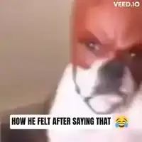 Ohcanyouseeintomyeyes how he felt after saying that
