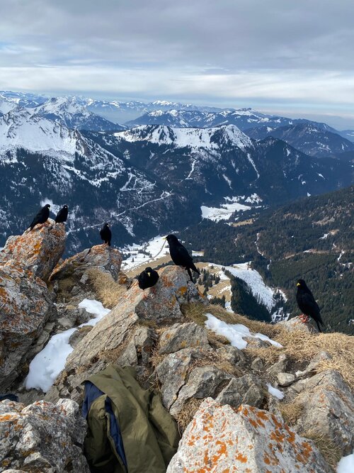 IMG-20250322-WA0097 (1).jpg