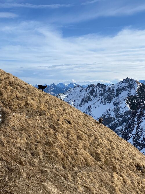 IMG-20250322-WA0088 (1).jpg