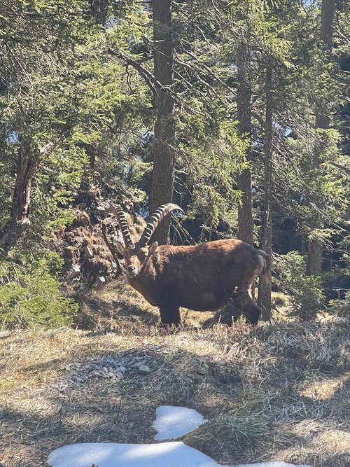 IMG-20250407-WA0023 (1).jpg