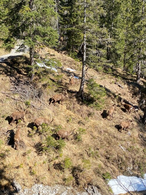 IMG-20250407-WA0008 (1).jpg